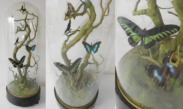 Globe Napoléon III - 1860 env.