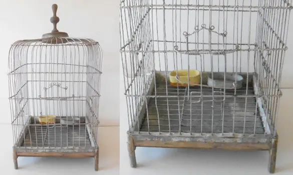 Cage - France, 1850 env.