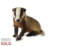 Blaireau - Années 80