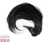 Paradisier - 1880 env.