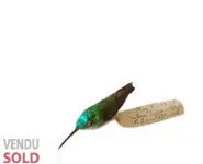 Peau d'étude de colibri - 1939