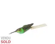 Peau d'étude de colibri - 1940 env.