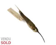 Peau d'étude de colibri - 1940 env.