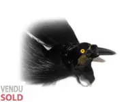 Paradisier - 1900 env.