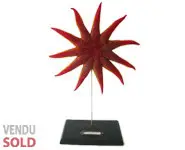 Solaster grande taille base bois