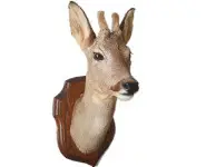 Chevreuil - 1990 env.