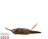 Colibri de Delphine - 1900 env.