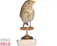 Bruant proyer - 1900 env.