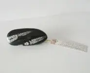 Rostres de belemnites