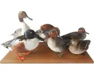 6 canards - 1990 env.