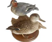 Sarcelles d'hiver - 1980 env.