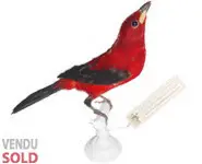 Tangara du Brésil - 1880