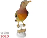 Colombar - 1850 env.