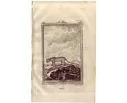 Mammifère - BUFFON - 1812