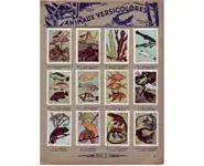 Album Nestlé - 1932