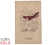 Colibri - LIXARS SC. - 1830