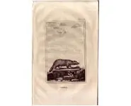 Mustélidé - BUFFON - 1812