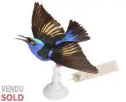 Guit-guit saï - 1880 env.