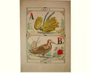 Grand alphabet - 1850 env.