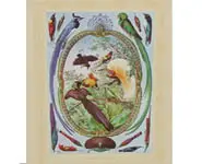 Oiseaux de paradis - 1940 env.