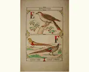 Grand alphabet - 1850 env.