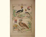 Grand alphabet - 1850 env.