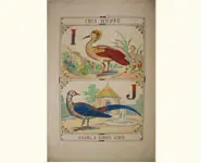 Grand alphabet - 1850 env.