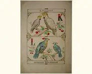 Grand alphabet - 1850 env.