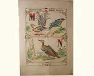 Grand alphabet - 1850 env.