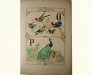 Grand alphabet - 1850 env.