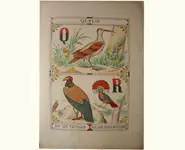 Grand alphabet - 1850 env.