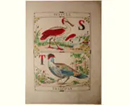 Grand alphabet - 1850 env.