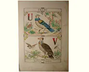 Grand alphabet - 1850 env.