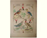 Grand alphabet - 1850 env.