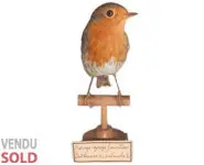 Rouge-gorge - 1900 env.