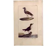 Tourne-pierre - PRETRE - 1850