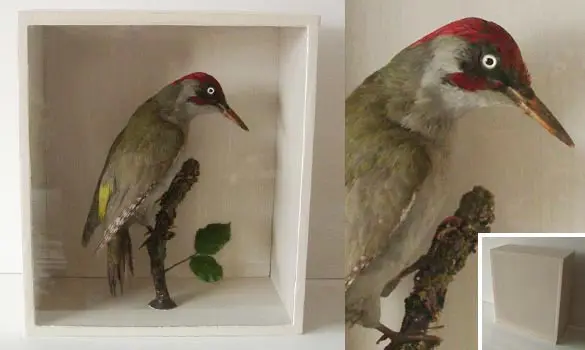 Pic vert - 1880 env.