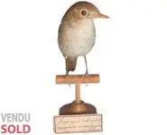 Rossignol - 1900 env.