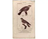 Engoulevent - PRETRE - 1850