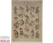 HISTOIRE NATURELLE - 1880 env.