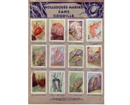 Album Nestlé - 1932