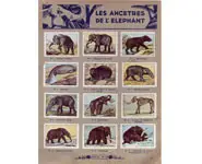 Album Nestlé - 1932