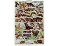 Fourrures 1 - Larousse - 1949