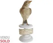 Alouette - 1890 env.