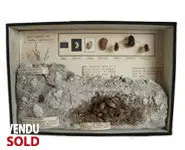 La vie des bourdons - 1940